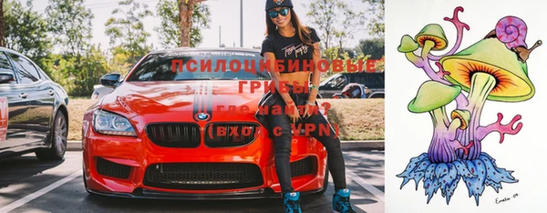 прущие крисы Абинск