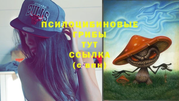 сатива Алексеевка